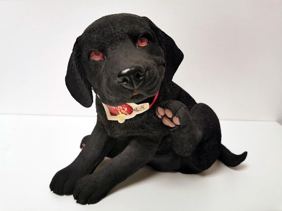 Hond - Country Artist - Zwart - Puppy - Labrador - 25cm | bol.com