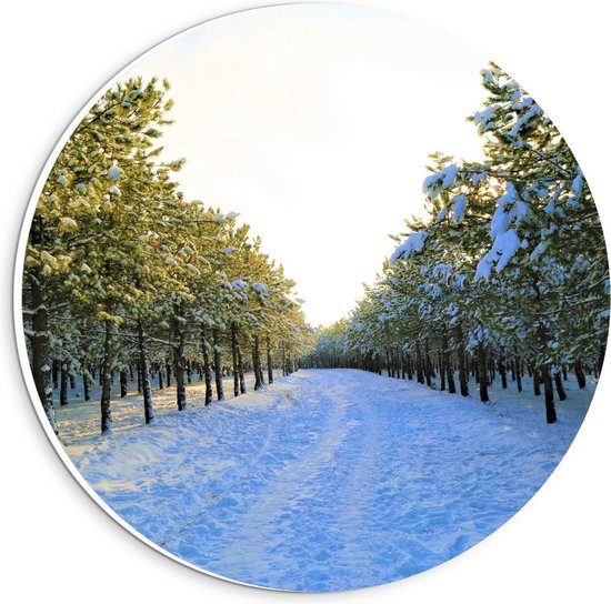 Forex Wandcirkel - Besneeuwde Paden tussen de Bomen - 20x20cm Foto op Wandcirkel (met ophangsysteem)