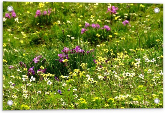 Tuinposter – Grasveld met Paarse/Witte/Gele Bloemen - 60x40cm Foto op Tuinposter  (wanddecoratie voor buiten en binnen)