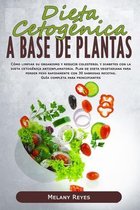 Dieta Cetogenica a Base de Plantas