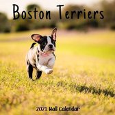 Boston Terriers 2021 Wall Calendar