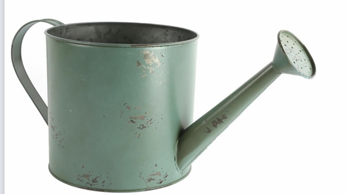 Countryfield - Bloempot gieter - Jack L  - groen - L37B17H16CM