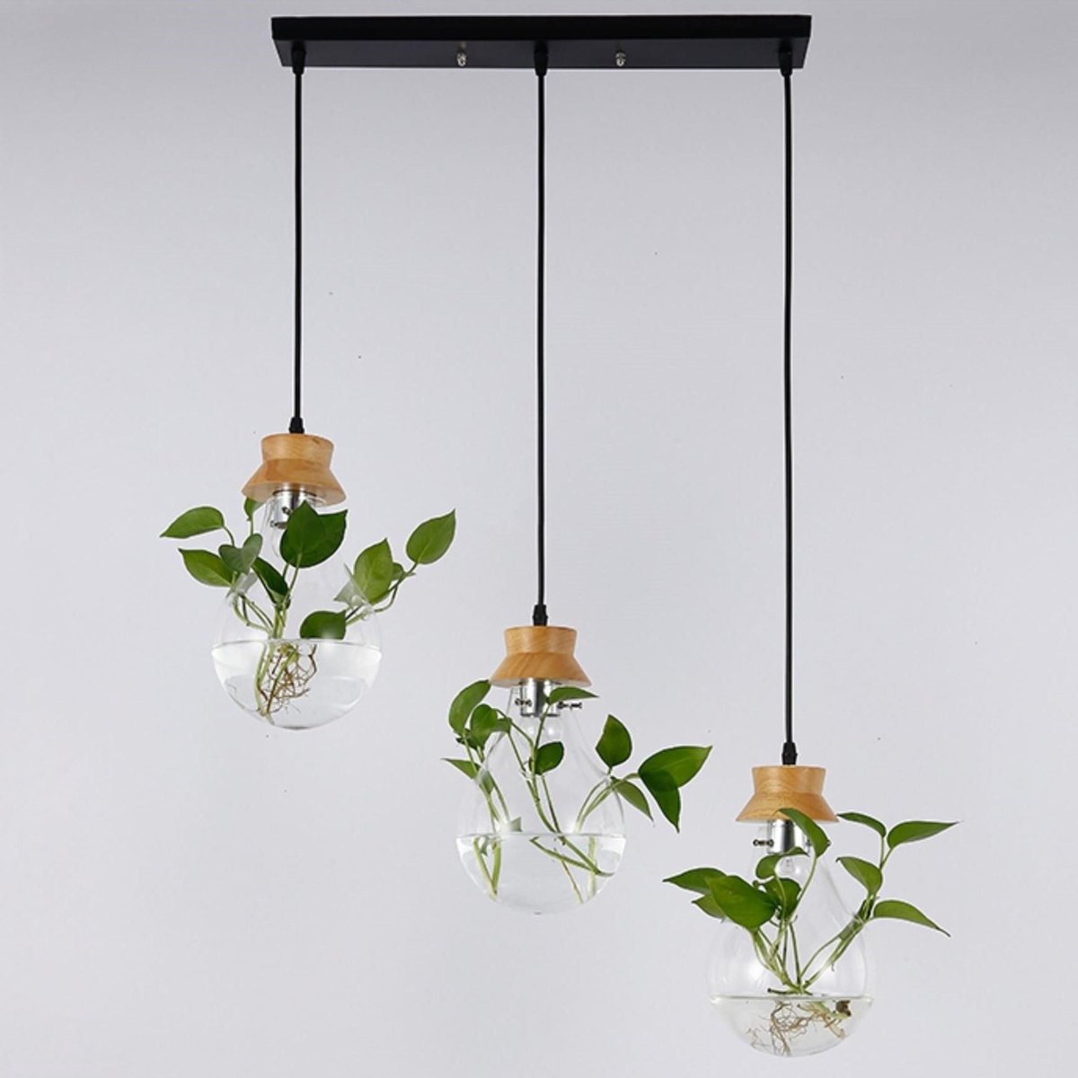 Hanglamp plant 3 lichts - hydroponie lamp - stekjes waterplant lamp -  botanische lamp... | bol.com