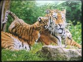 Kinderpuzzel tijger 28 cm x 21 cm