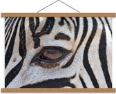Schoolplaat – Oog van Zebra - 60x40cm Foto op Textielposter (Wanddecoratie op Schoolplaat)