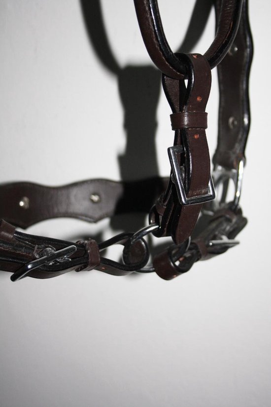 Ô le licol et longe en cuir et nylon avec détail mors de cheval - Havane