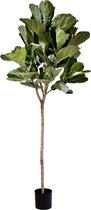 Kunstplant Fiddle Leaf 225 cm