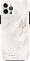 Paradise Amsterdam 'Ash Limestone' Fortified Phone Case - iPhone 12 Pro Max