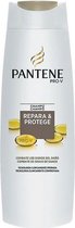 Herstellende Shampoo Repara & Protege Pantene (360 ml)