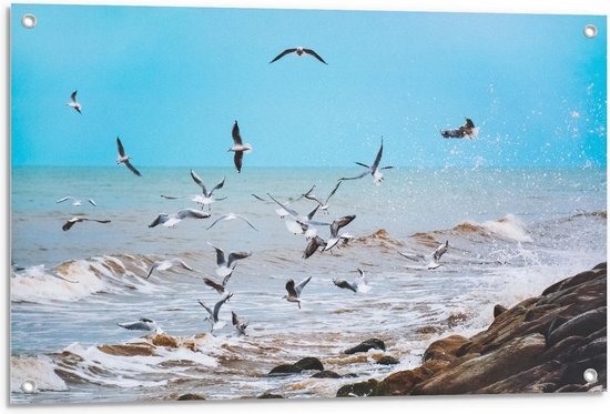 Tuinposter – Zwerm Vogels boven Zeewater - 90x60cm Foto op Tuinposter  (wanddecoratie voor buiten en binnen)