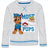 Paw Patrol sweater - grijs - Maat 128 / 8 jaar