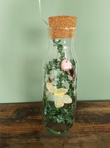Voorjaar- Zomer- Gezelligheid- Tuin- Glas- Fles/ Vaas met kurk/ LED slinger met groene blaadjes- 165 cm/ LED verlichting- vlinder en vogeltje