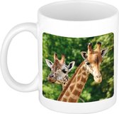Dieren giraffe foto mok 300 ml - cadeau beker / mok giraffen liefhebber