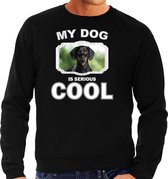 Coole teckel honden trui / sweater my dog is serious cool zwart - heren -  teckels liefhebber cadeau sweaters XL