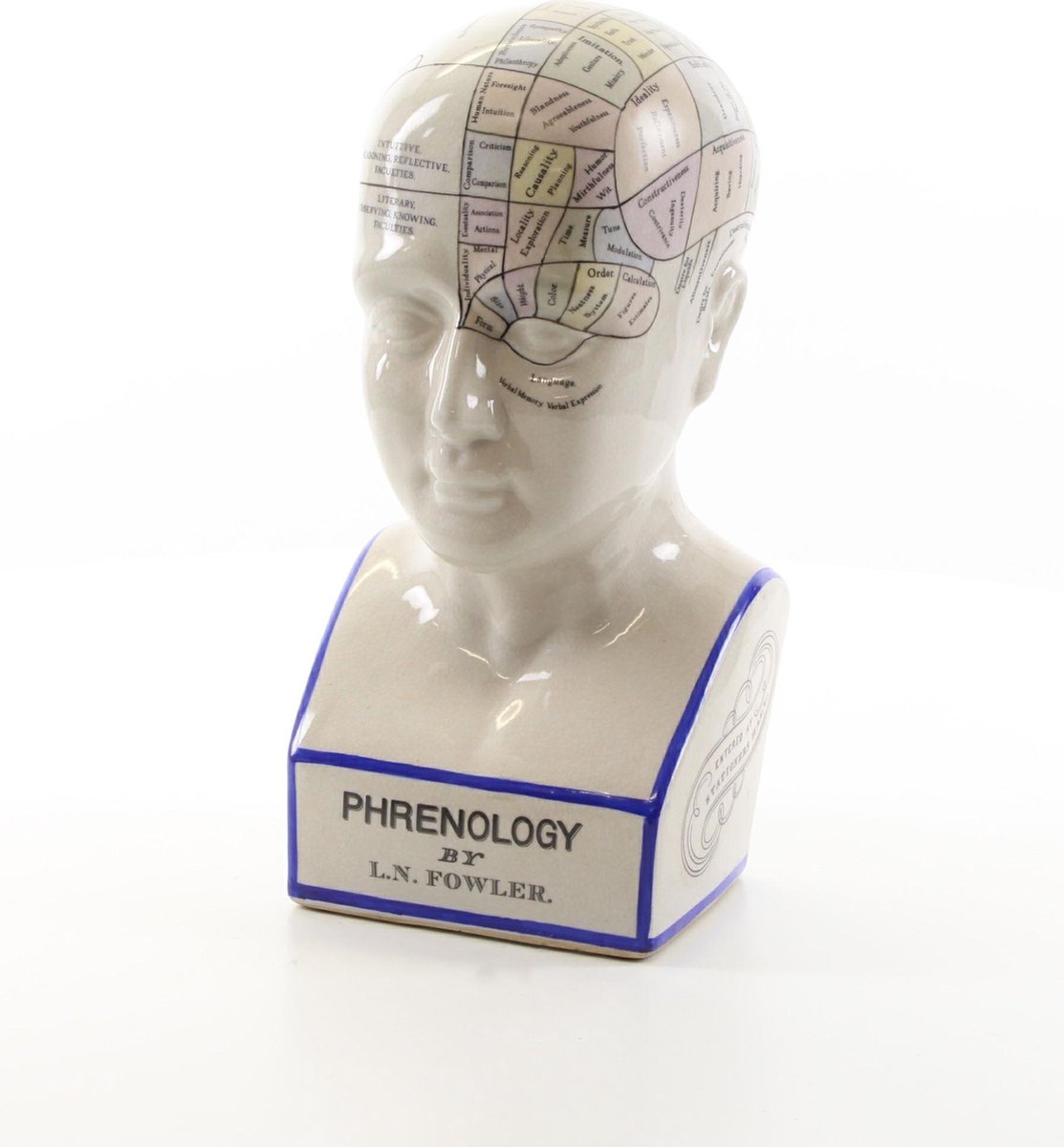 Tête Phrénologie L.N Fowler En Céramique 🧠 | Reproduction Antique 30.5cm | Finition Craquelée | Décoration Bureau Vintage