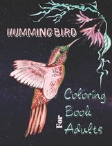 Hummingbird Coloring Book for Adults
