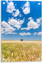Tuinposter – Blauwe Lucht met Wolken en Boom - 40x60cm Foto op Tuinposter  (wanddecoratie voor buiten en binnen)