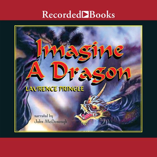 Imagine a Dragon - cover