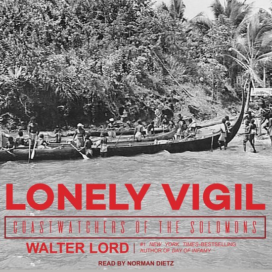 Lonely Vigil - cover