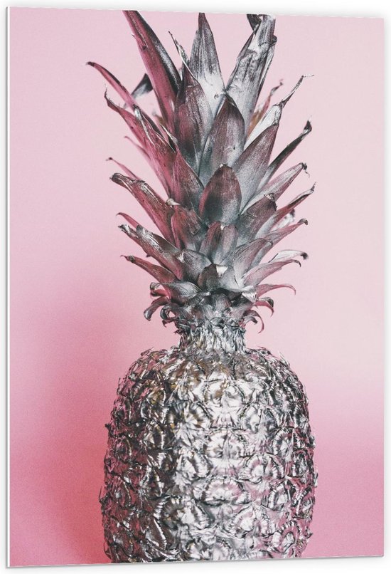 Forex - Zilveren Ananas  met Roze Achtergrond - 60x90cm Foto op Forex