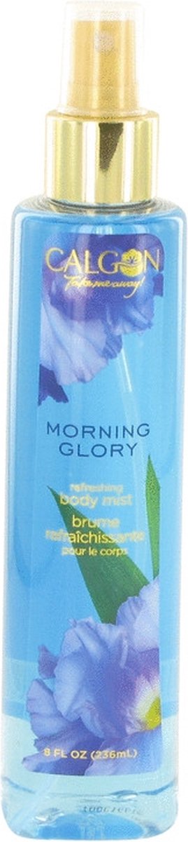 Goedkoopste Calgon Take Me Away Morning Glory 240 ml - Body Mist Women