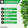 Groen, 30 stuks