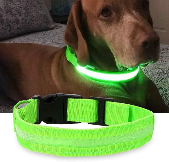 Aanvankelijk Aarzelen Lunch Groene LED halsband maat XS | honden halsband met verlichting | Licht in  donker | 3... | bol.com