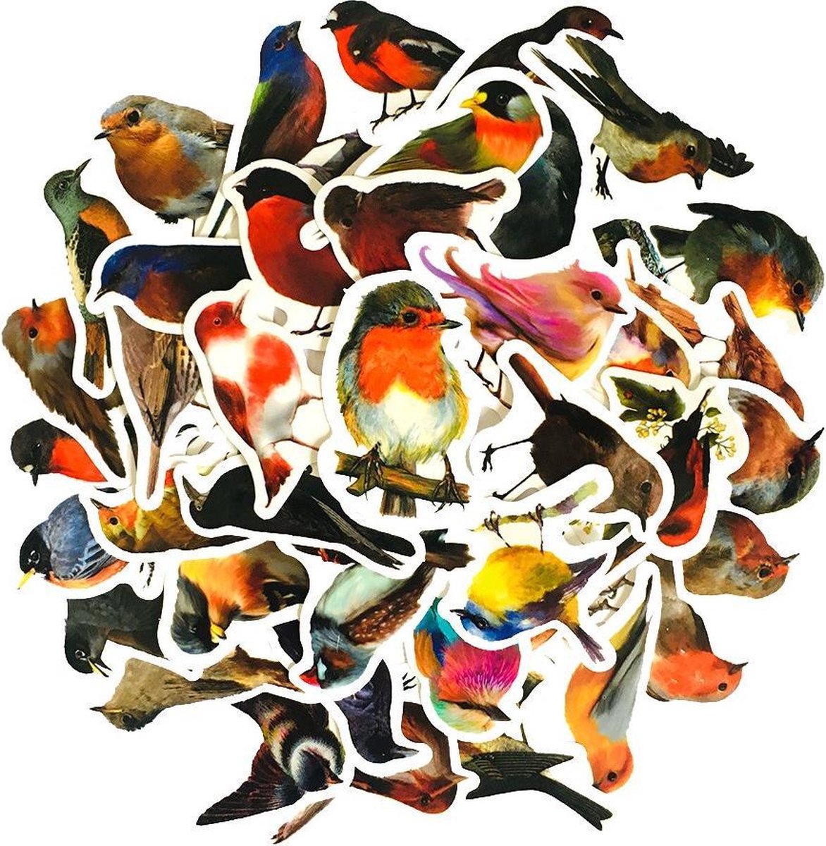 Vogelstickers – 40 stuks – Bird Sticker – Bulletjournal / Scrapbook Stickers