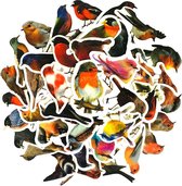 Vogelstickers - 40 stuks - Bird Sticker - Bulletjournal / Scrapbook Stickers