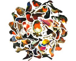 Vogelstickers - 40 stuks - Bird Sticker - Bulletjournal / Scrapbook Stickers