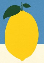 Fruit Poster - Citroen - Wandposter 60 x 40 cm