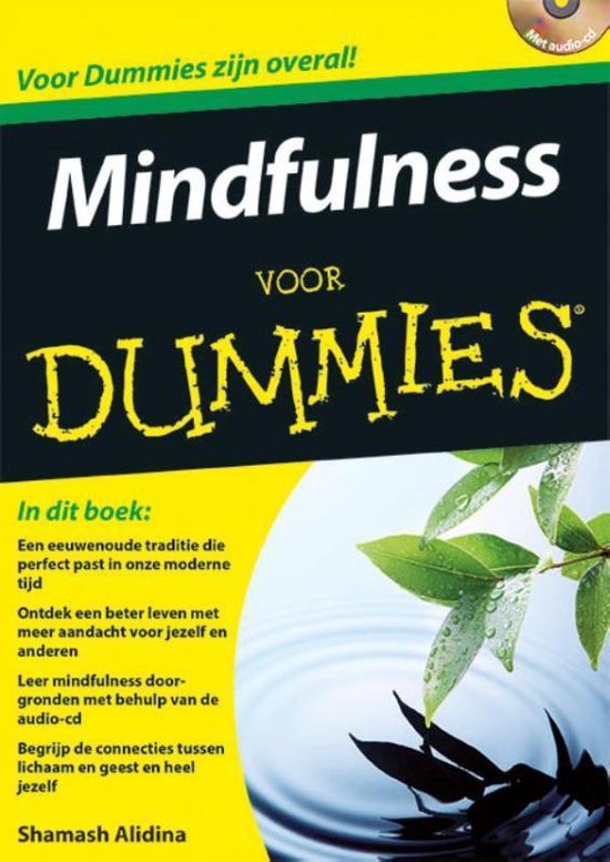 9789045351810 - Voor Dummies - Mindfulness voor Dummies