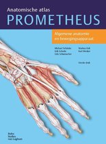 Prometheus anatomische atlas 1 -   Algemene anatomie en bewegingsapparaat