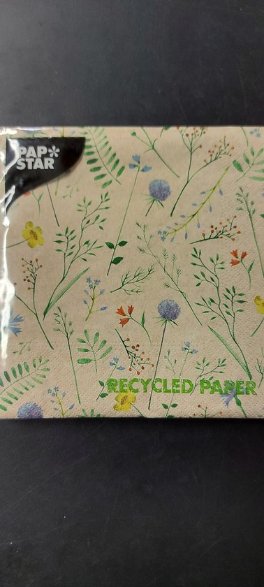 Papstar Recycled Paper Servetten Gerecycled, schone energie