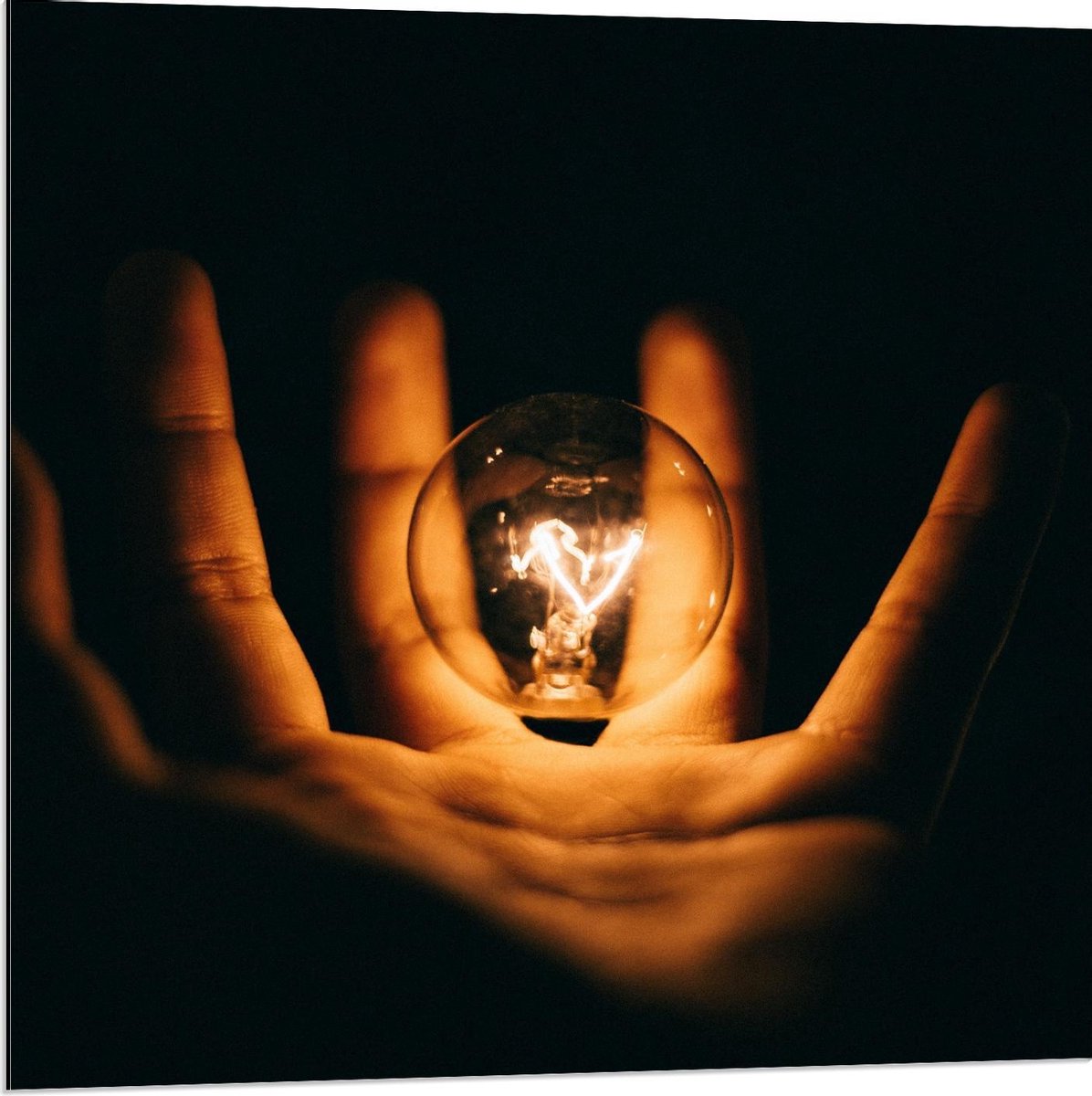 Dibond - Lichtgevende Gloeilamp in Handen met Zwarte Achtergrond - 80x80cm Foto op Alumini