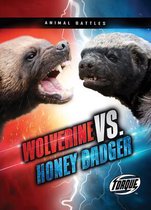 Animal Battles- Wolverine vs. Honey Badger