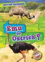 Emu or Ostrich?