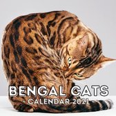 Bengal Cats