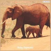 Baby Elephants 2021 Wall Calendar