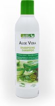 Oollin Aloe Vera shampoo 250ml.