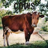 Cow 2021 Wall Calendar