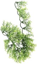 ZooMed - naturalistic flora - australian maple - small - terrariumplant