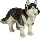 Hermann Teddy Knuffel Hond Husky Staand Groot