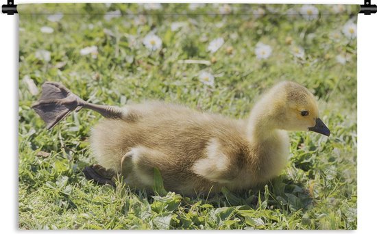Tapisserie Bebe Oie Stretching Baby Goose Tapisserie Coton 1x80 Cm Tapisserie Bol Com Tapisserie Bebe Oie Stretching Baby Goose Tapisserie Coton 1x80 Cm Tapisserie Bol Com
