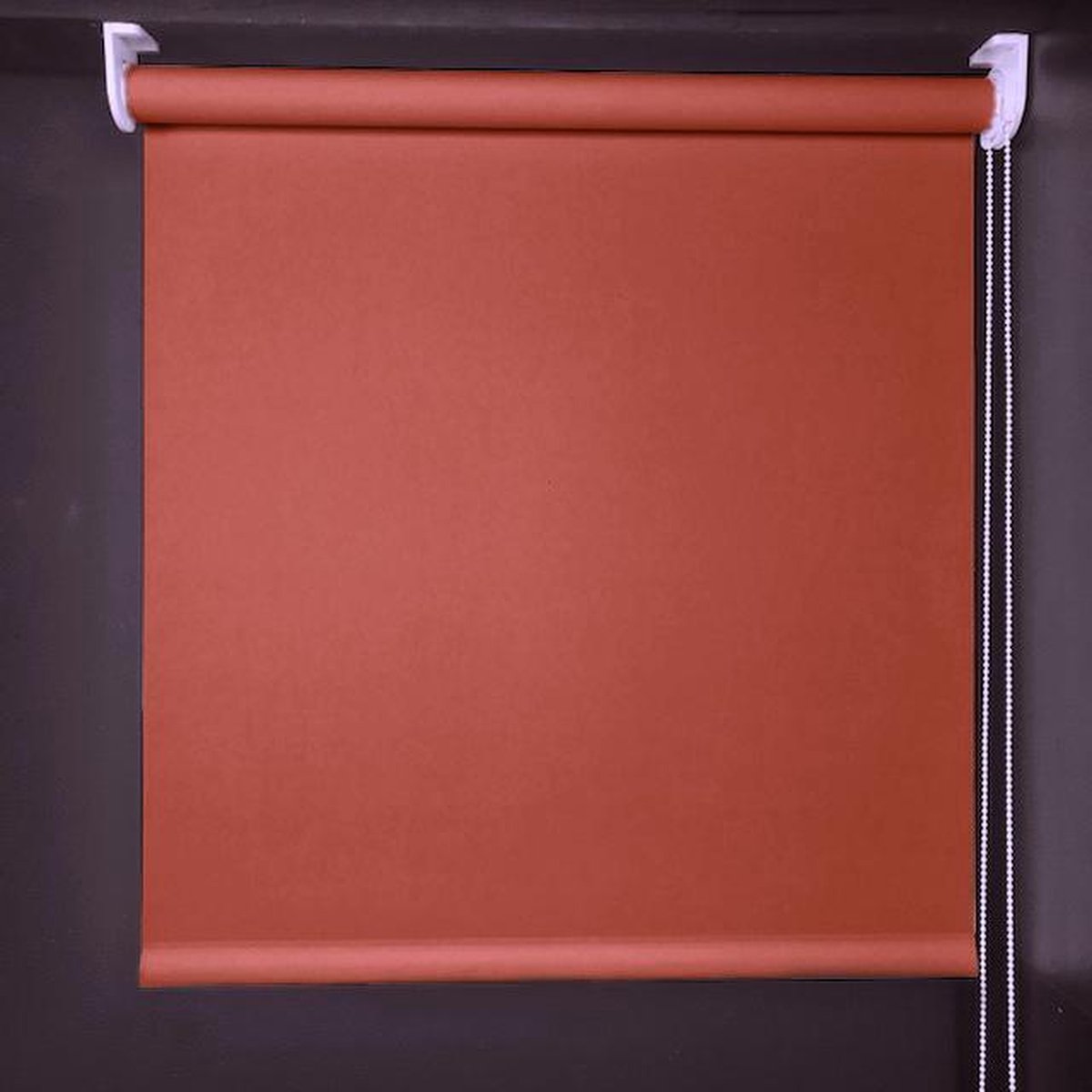 Rolgordijn rood 210x210 lichtdoorlatend