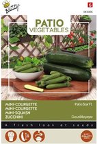 Buzzy® Patio Vegetables, Courgette Patio Star F1