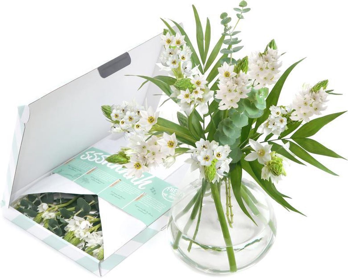 White wonder | Brievenbus bloemen | Uniek cadeau bezorgd door de brievenbus  | bol.com