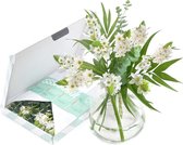 White wonder | Brievenbus bloemen | Uniek cadeau bezorgd door de brievenbus