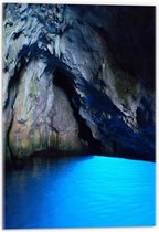 Acrylglas –Orka in Blauw Water– 60x40 (Wanddecoratie op Acrylglas)