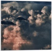 Forex - Wolken in de Lucht - 50x50cm Foto op Forex